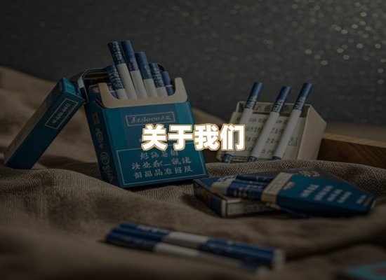 关于云歌烟网